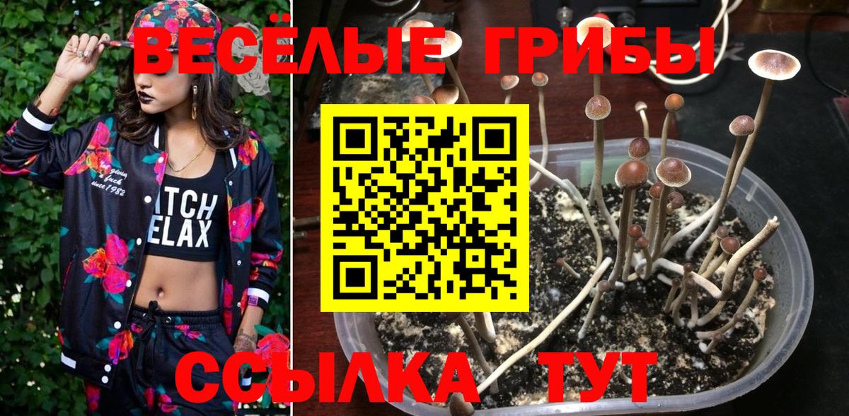 Галлюциногенные грибы GOLDEN TEACHER  Вход с VPN  Сланцы  как найти закладки  Галлюциногенные грибы MAGIC MUSHROOMS 